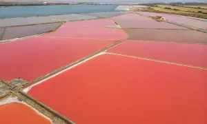 Różowe pola solne jeziora Atanasovsko tworzą hipnotyzujący krajobraz. W oddali widać spokojną, błękitną wodę i góry.