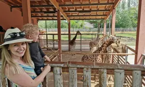 Rodzina z dzieckiem obserwuje żyrafy w zoo. Węgry, gdzie jechać na wakacje z dziećmi? Zoo w Budapeszcie to świetny pomysł!