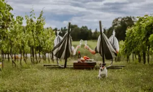 Para relaksu w winnice węgry. Para w hamakach wznosi toasty, piesek pilnuje pikniku.