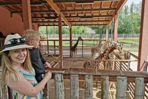 Rodzina z dzieckiem obserwuje żyrafy w zoo. Węgry, gdzie jechać na wakacje z dziećmi? Zoo w Budapeszcie to świetny pomysł!