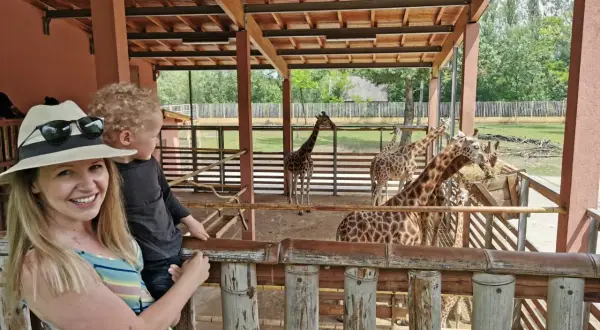 Rodzina z dzieckiem obserwuje żyrafy w zoo. Węgry, gdzie jechać na wakacje z dziećmi? Zoo w Budapeszcie to świetny pomysł!