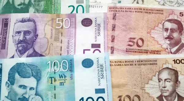 Serbskie banknoty: 100 dinarów z Nikoli Teslą, 50 dinarów, 20 dinarów i banknoty z Bośni i Hercegowiny. Waluta serbi w różnych nominałach.