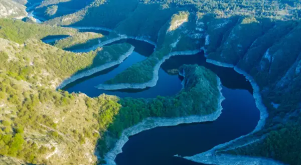 Meandry rzeki tworzą malowniczy krajobraz kanionu Uvac, otoczonego zielonymi wzgórzami i skalistymi zboczami.