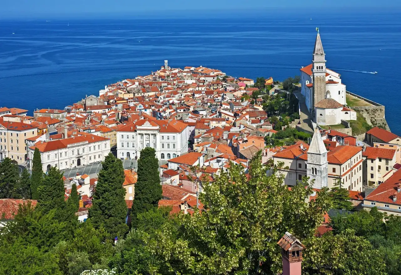 Widok na Piran, Słowenia. Urokliwe miasteczko z czerwonymi dachami i kościołem nad morzem. Ceny noclegów i atrakcji są przystępne.