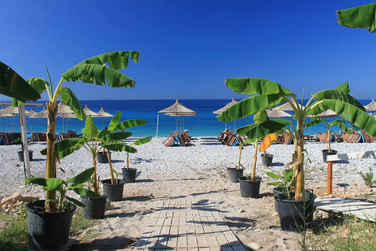 Tropikalna plaża w Albanii, idealne miejsce na wakacje. Palmy, leżaki i turkusowe morze.