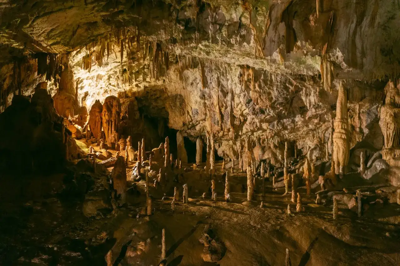 Wnętrze jaskini w Słowenii, pełne stalaktytów i stalagmitów, tworzących niezwykłe formacje skalne.